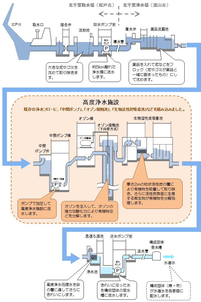 浄水フロー 